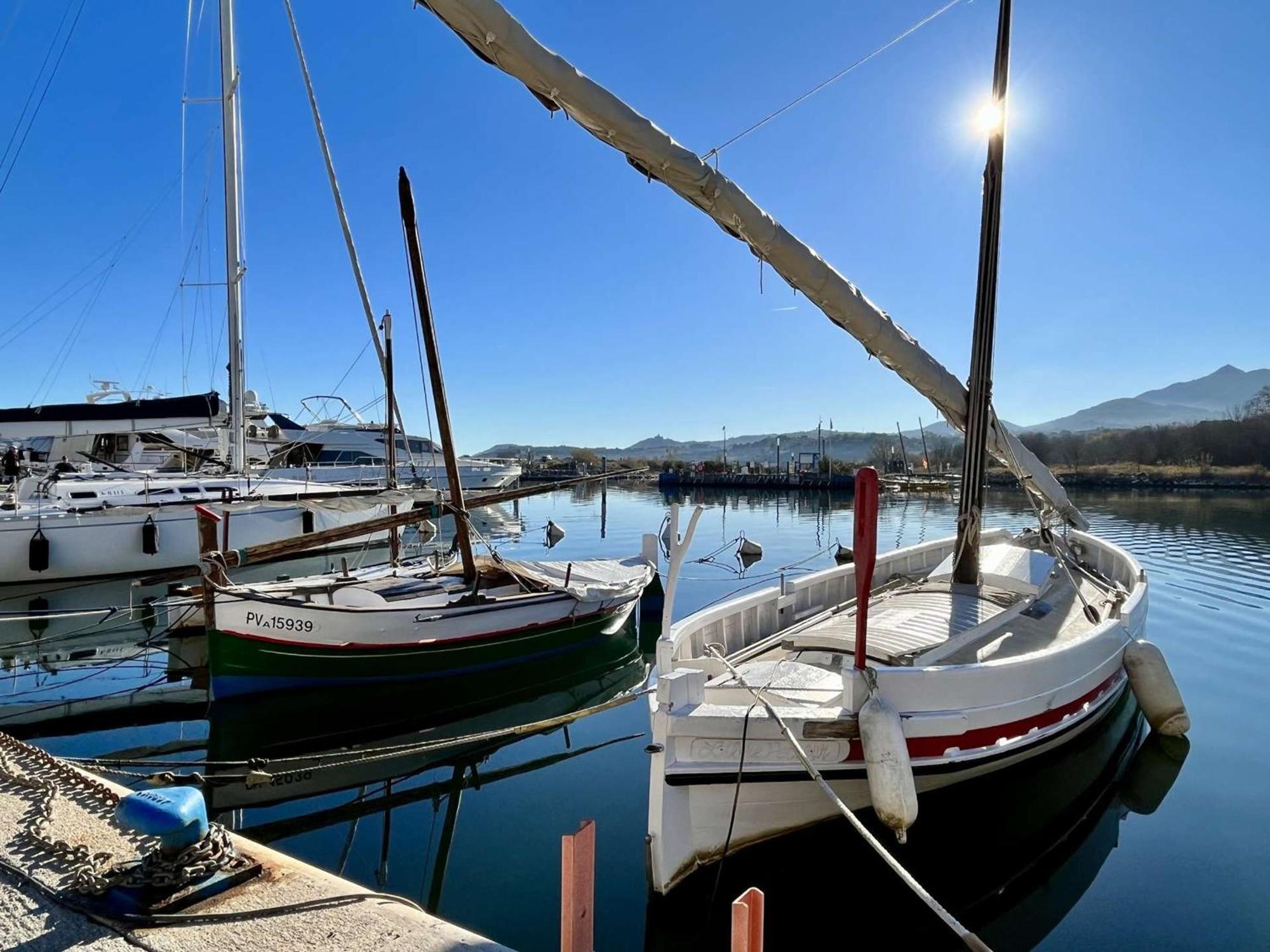 Location Appart 2 Pieces Au Port D'Argeles-Sur-Mer - Fr-1-225-56 Dış mekan fotoğraf